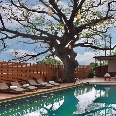 Bamboori Boutique Resort Chiang Mai Eksteriør billede